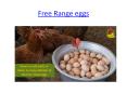 Free Range Eggs | Omega 3 | Organic Eggs| Pasture Raised Egg PowerPoint PPT Presentation