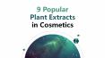 9 popular plant extracts in cosmetics PowerPoint PPT Presentation
