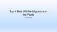Top 4 Best Wildlife Migrations in the World PowerPoint PPT Presentation