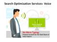Search Optimization Services- Voice PowerPoint PPT Presentation