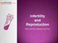IVF Clinic in Gurgaon PowerPoint PPT Presentation