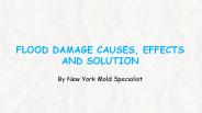 FLOOD DAMAGE CAUSES, EFFECTS AND SOLUTION