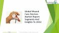Wound Care Devices Global Market Report 2019 PowerPoint PPT Presentation