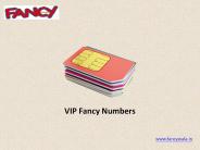 VIP Fancy Numbers