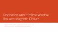 Fascination About Yellow Window Box with Magnetic Closure PowerPoint PPT Presentation