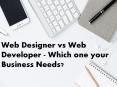 Web Designer vs Web Developer - Which one your Business Needs? PowerPoint PPT Presentation