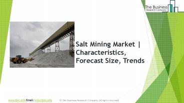 Salt Mining Global Market Report 2019