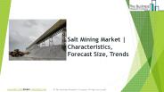 Salt Mining Global Market Report 2019