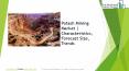 Potash Mining Global Market Report 2019 PowerPoint PPT Presentation