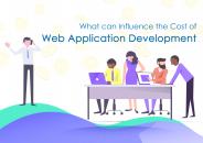 What Can Influence the Cost of Web Application Development