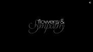 Your Emotions, Our Designs - Flowers & Sympathy