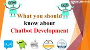 What should you know about chatbot development?