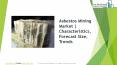 Asbestos Mining Global Market Report 2019 (1) PowerPoint PPT Presentation