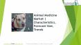 The animal medicine market PowerPoint PPT Presentation