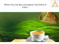 Where You Can Buy Lemongrass Tea Online In India