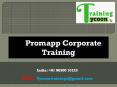 Promapp Corporate Training | Nintex Promapp Classroom Training PowerPoint PPT Presentation