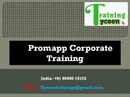 Promapp Corporate Training | Nintex Promapp Classroom Training