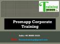 Promapp Corporate Training | Nintex Promapp Classroom Training (1) PowerPoint PPT Presentation