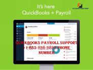 Quickbooks Payroll Support +1 833-228-2822 Phone Number