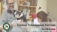 Various Veterinarian Services In McLean PowerPoint PPT Presentation