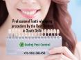 How the Best Dentist in South Delhi Perform Professional Teeth Whitening? PowerPoint PPT Presentation
