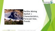 Perlite Mining Global Market Report 2019