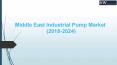 Middle East Industrial Pump Market (2018-2024) PowerPoint PPT Presentation