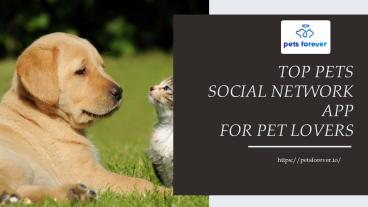 Top social networking app for pet lovers