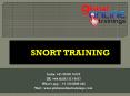 SNORT Training | SNORT Online Job Support from India - GOT PowerPoint PPT Presentation