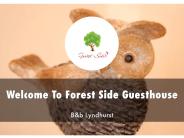 Detail Presentation About Forest Side Guesthouse