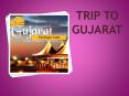 Trip To Gujarat