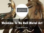 Information Presentation Of No Bull Metal Art