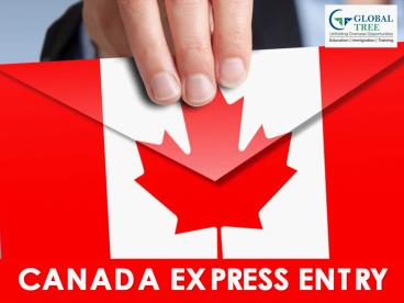 Canada Immigration Express Entry Visa Consultants - Global Tree