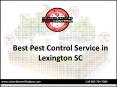 Best Pest Control Service in Lexington SC PowerPoint PPT Presentation