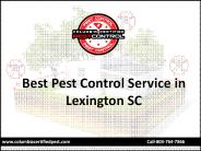 Best Pest Control Service in Lexington SC