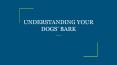 UNDERSTANDING YOUR DOGS’ BARK PowerPoint PPT Presentation