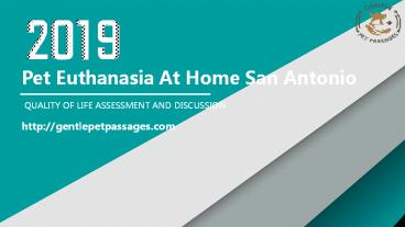 Pet Euthanasia at Home San Antonio -Gentle Pet Passages