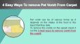 4 Easy Ways To remove Pet Vomit From Carpet PowerPoint PPT Presentation