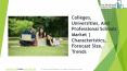 Colleges, Universities, And Professional Schools Global Market Report 2019 PowerPoint PPT Presentation