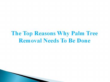 The Top Reasons Why Palm Tree Removal Needs To Be Done