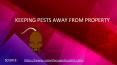 KEEPING PESTS AWAY FROM PROPERTY PowerPoint PPT Presentation