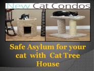 Safe Asylum for your cat  with  Cat Tree House