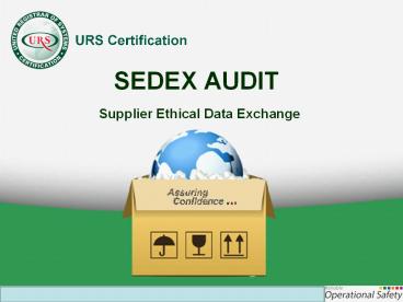 SEDEX Audit By URS India