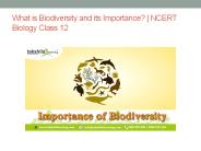 What is Biodiversity and its Importance? | NCERT Biology Class 12