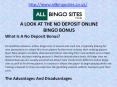 A LOOK AT THE NO DEPOSIT ONLINE BINGO BONUS PowerPoint PPT Presentation