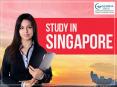 Study in Singapore Education Consultants in India. PowerPoint PPT Presentation