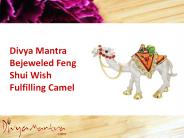 Feng Shui Wish Fulfilling Camel