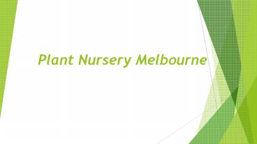 Best plant nursery near me- Nursery Melbourne (1)