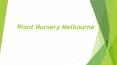 Best plant nursery near me- Nursery Melbourne (1) PowerPoint PPT Presentation
