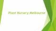 Best plant nursery near me- Nursery Melbourne PowerPoint PPT Presentation
